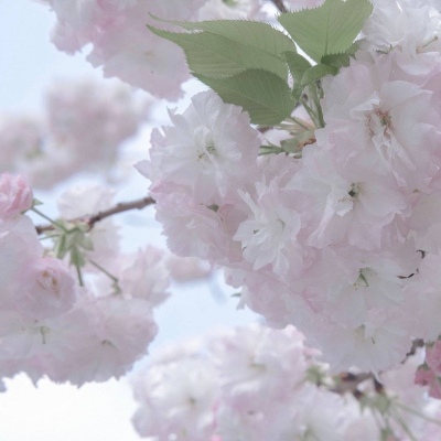 兽设毛发刻画细节福瑞交流群